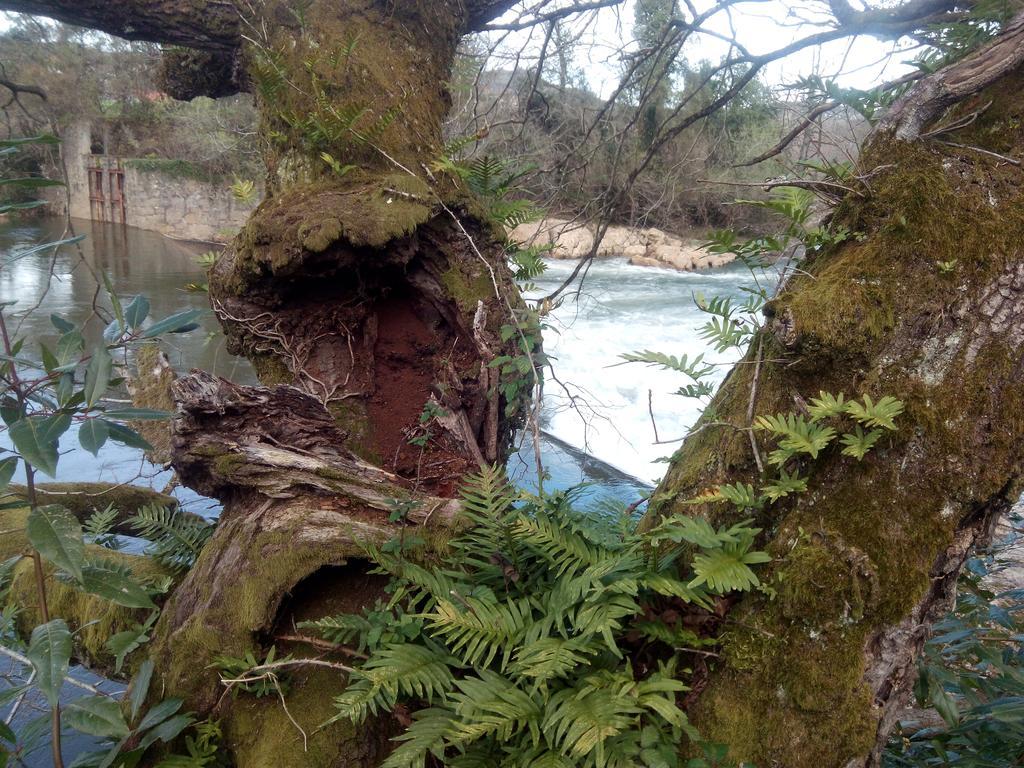 Posada La Cotia Helguera  Εξωτερικό φωτογραφία
