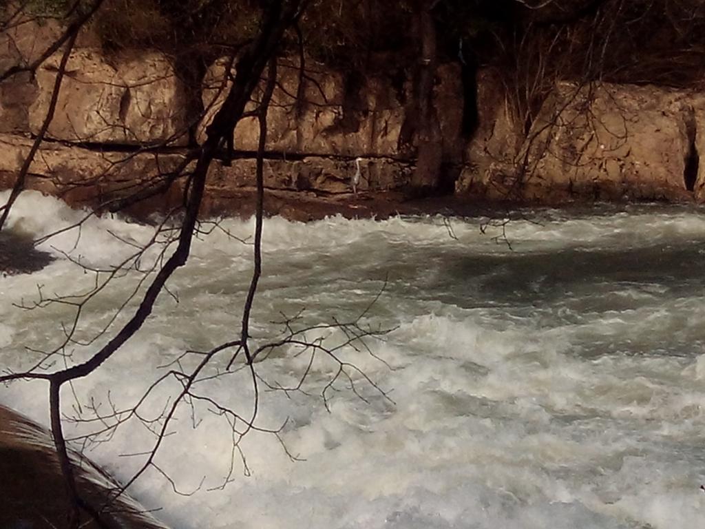 Posada La Cotia Helguera  Εξωτερικό φωτογραφία